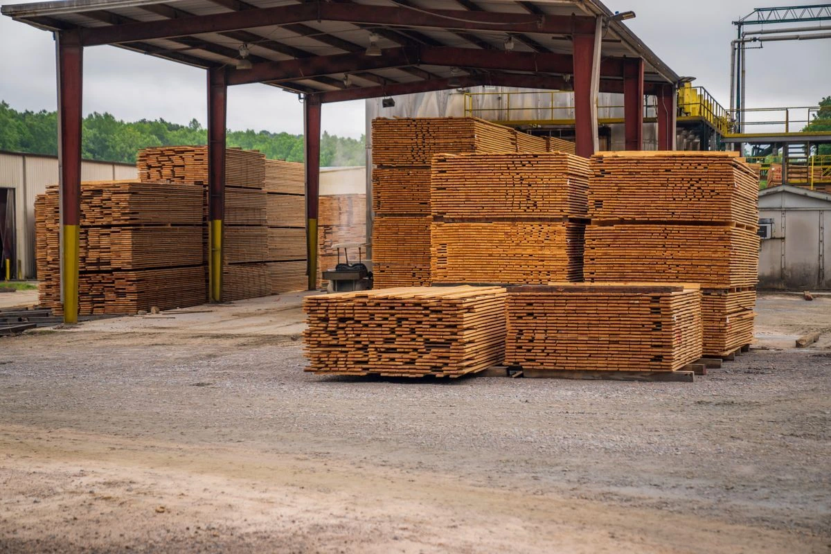 Holz trocknen und sortieren