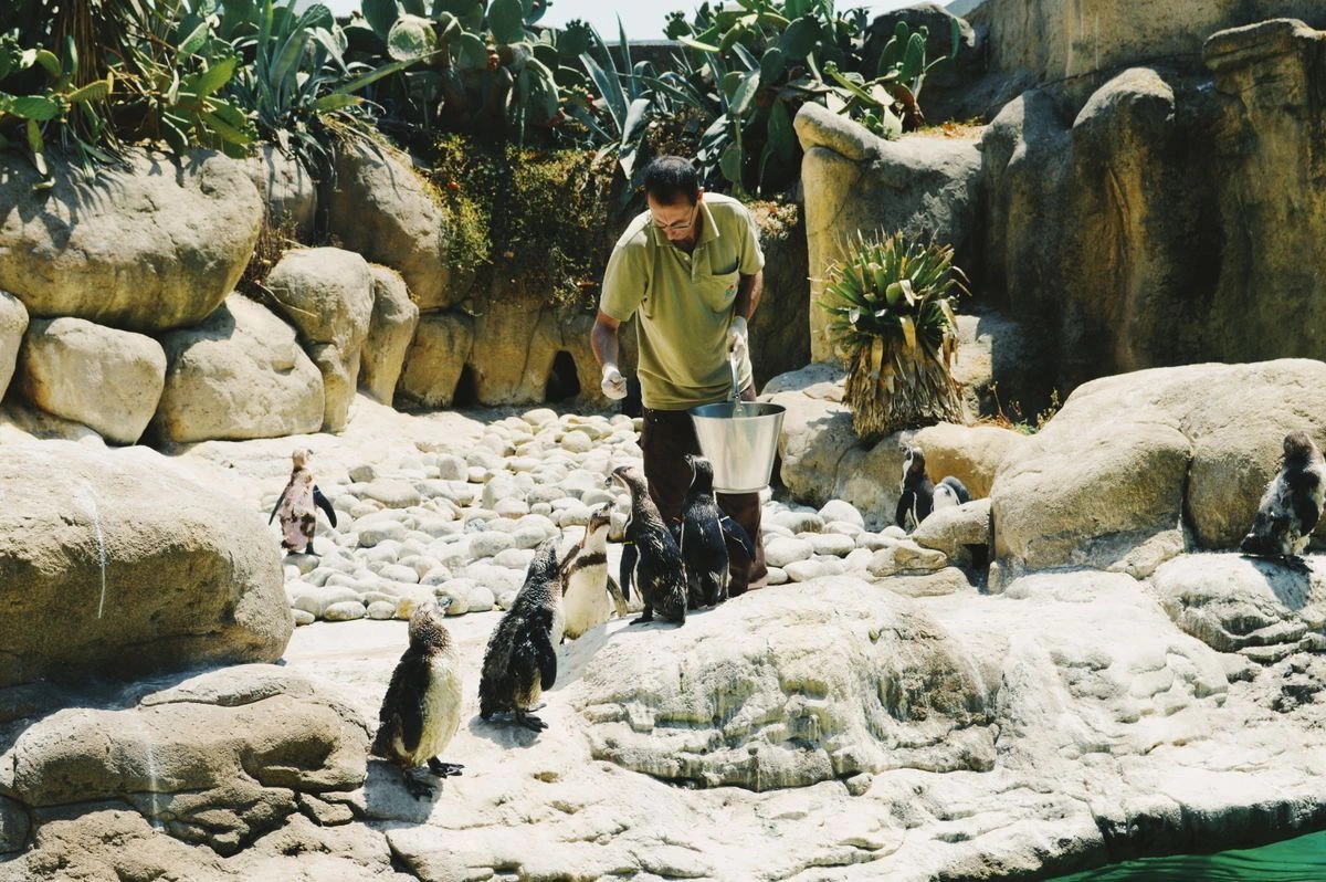 Tiere füttern