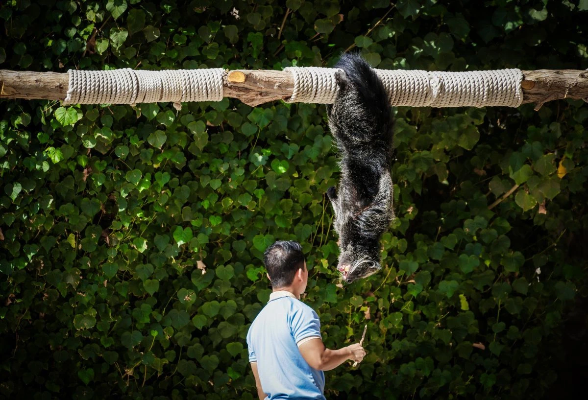 Wildtiere füttern