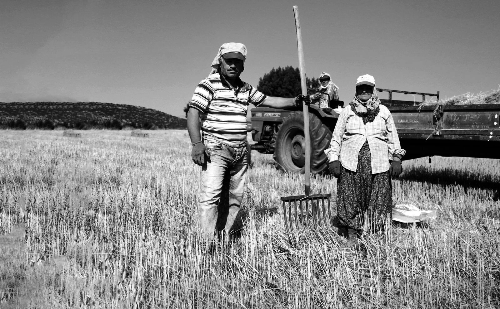 Landwirt/-in Titelbild
