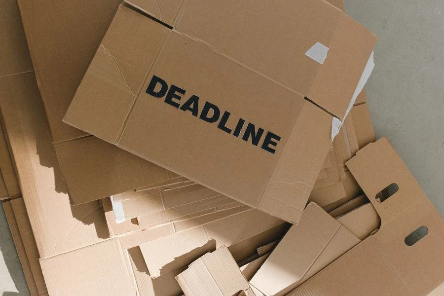 Termine organisieren